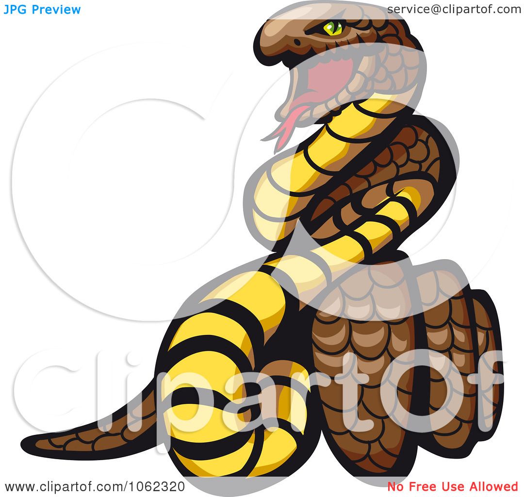 1080x1024 Clipart Coiled Snake
