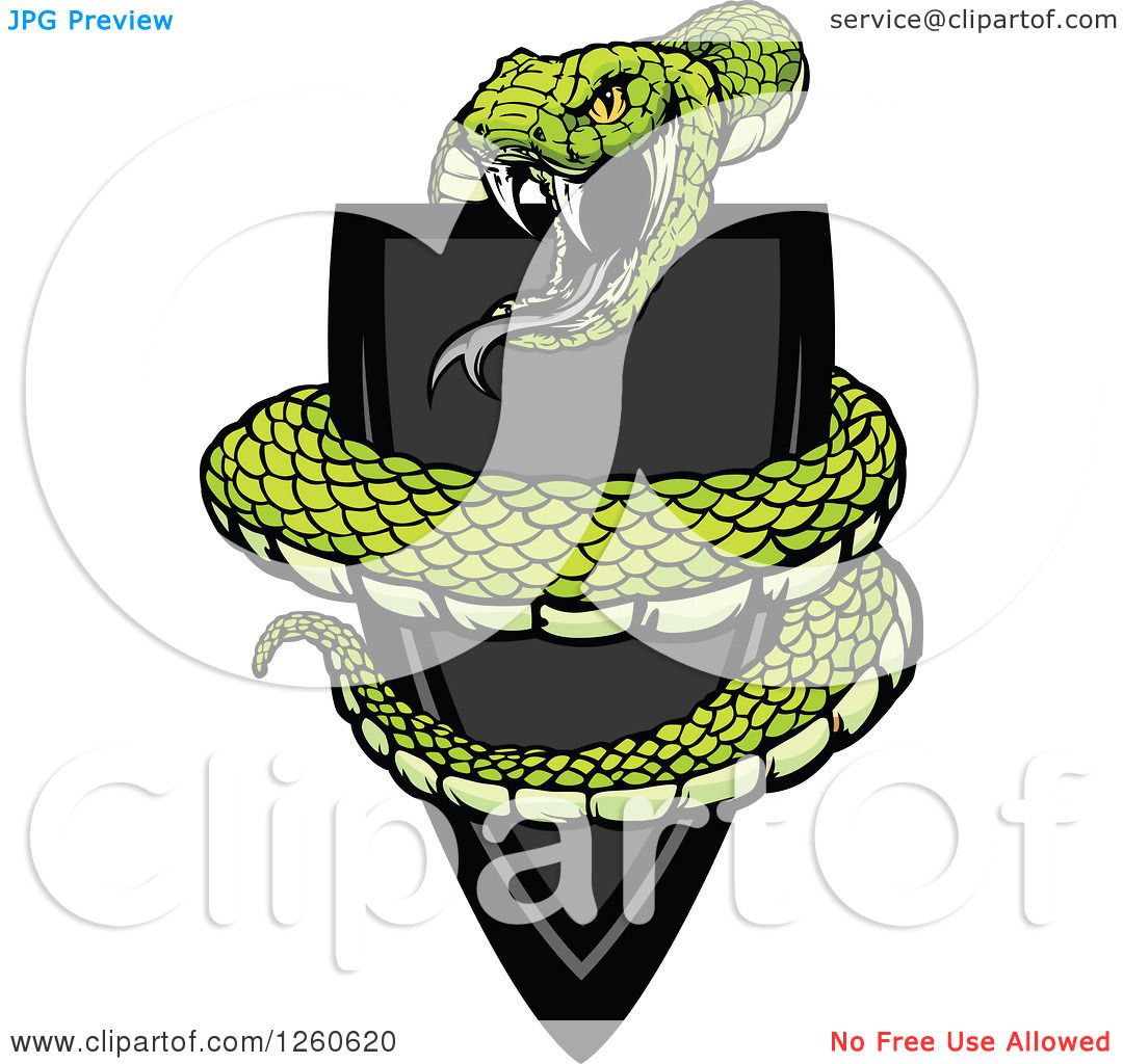 1080x1024 Clipart Of A Vicious Green Snake Coiled Around A Black Shield