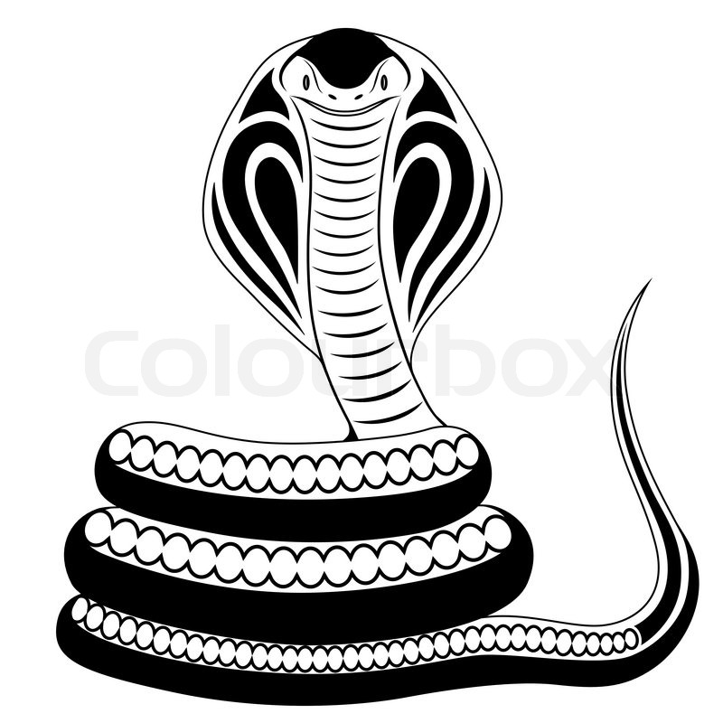 800x800 Cobra Clipart Coiled Snake