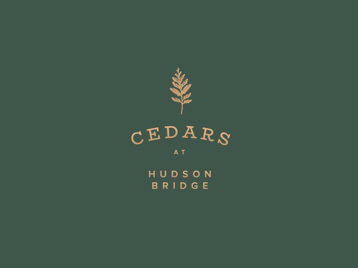 My Favorite Reject 736x552 My Favorite Reject