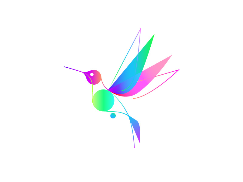 800x600 Colibri