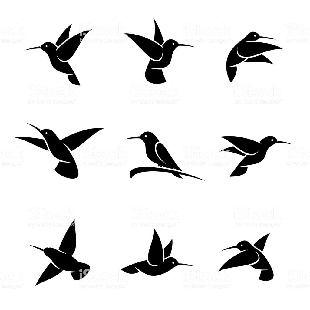 1024x1024 Collection Colibri Set, Edit Size And Color, Vector Vectors