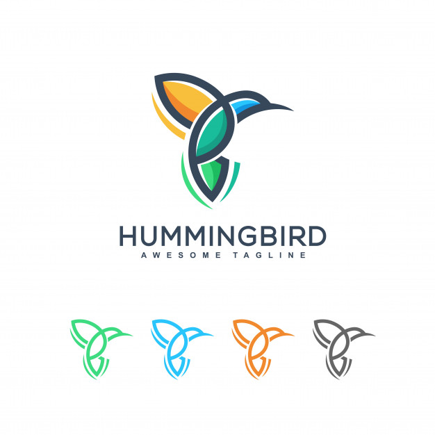 626x626 Abstract Humming Bird Illustration Vector Design Template Vector