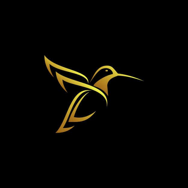 626x626 Gold Humming Bird Logo Vector Premium Download