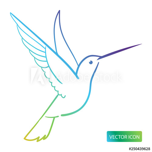 500x500 Hummingbird Icon Or Logo Design Vector Image On White Background