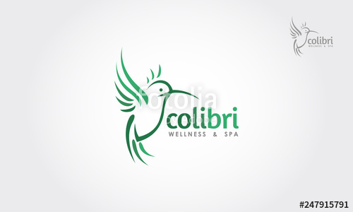 500x300 Sketched Hummingbird Colibri Isolated On White Background Logo