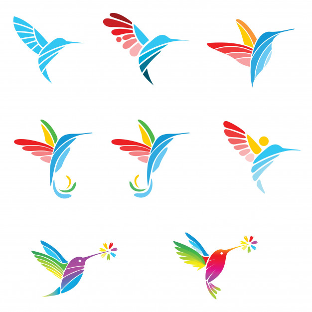 626x626 Colibri Colour Vector Premium Download