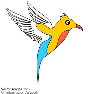 335x355 Download Colibri