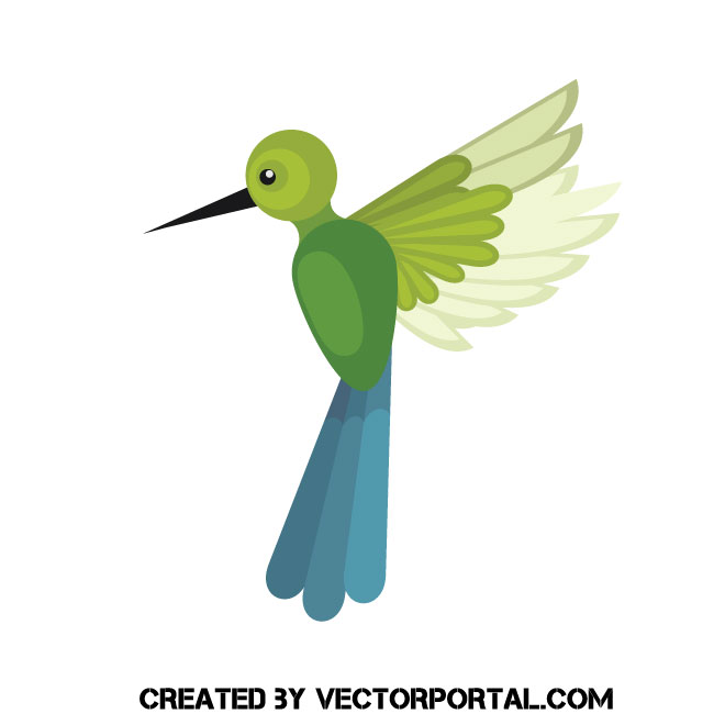 660x660 Flying Colibri Vector Graphic