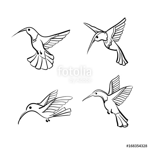 500x500 Humming Bird Colibri Vector Print Set Stock Image And Royalty