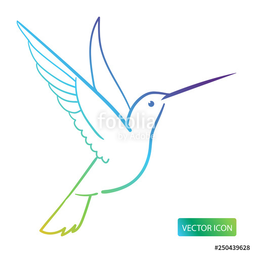 500x500 Hummingbird Icon Or Logo Design Vector Image On White Background