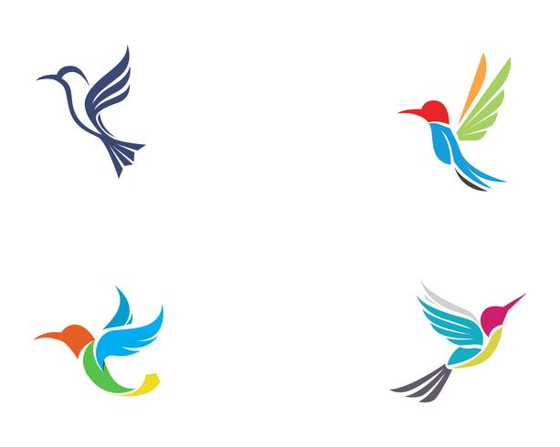 613x490 Hummingbird Icon Logo And Symbols Template Vector