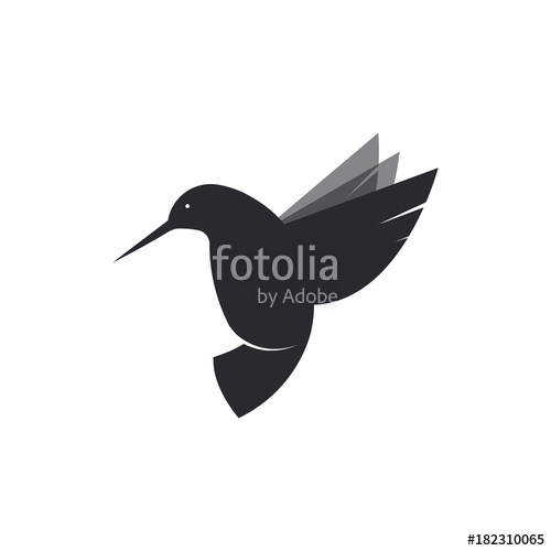 500x500 Hummingbird Logo Illustration Of A Bird Species Violetears