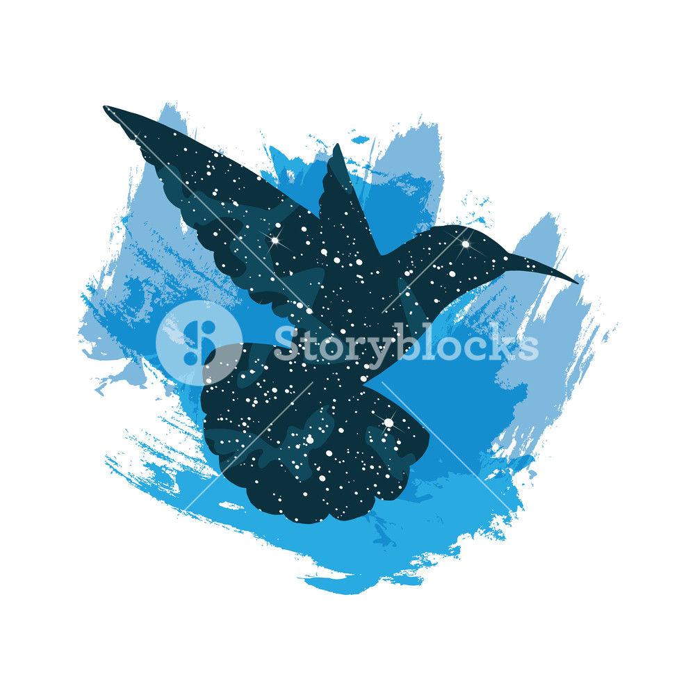 1000x1000 Illustration Of A Night Sky Colibri Silhouette Vector Print
