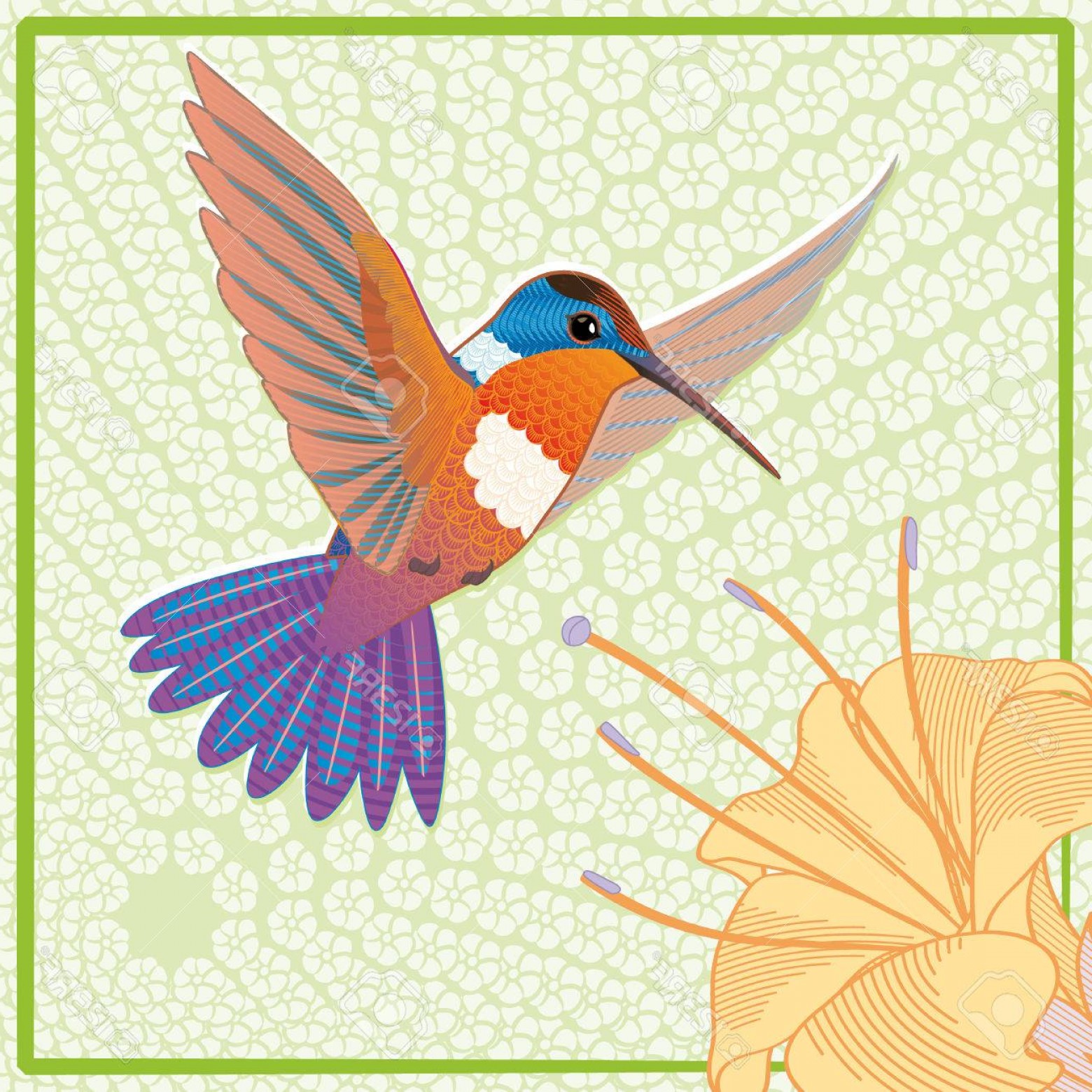 1560x1560 Photostock Vector Orange Hummingbird Colibri Card With Flower