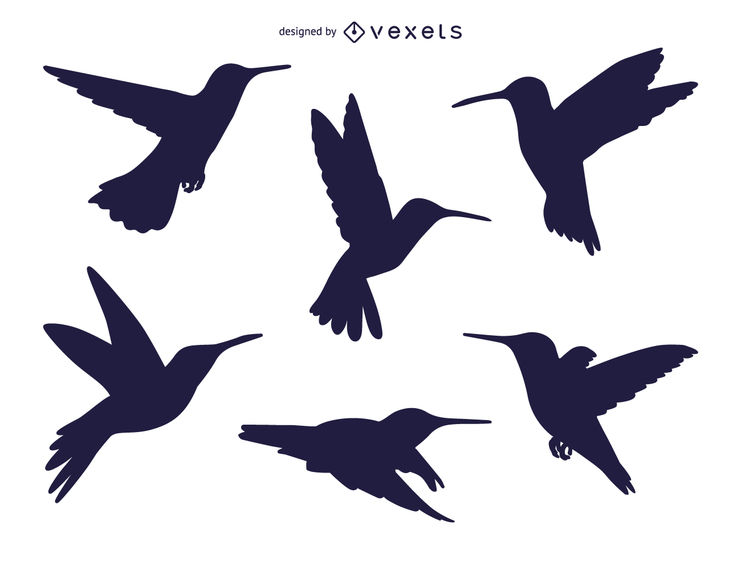 741x570 Set Of Hummingbird Silhouettes