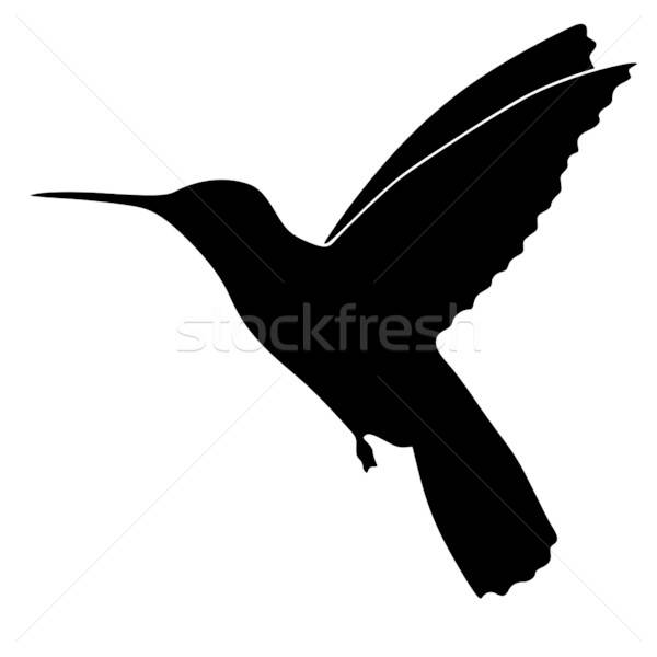 600x600 Silhouette Of Colibri Vector Illustration Oleksandr Kovalenko