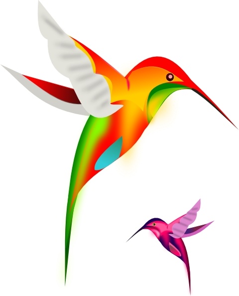 480x594 Colibri Birds Clip Art Free Vector In Open Office Drawing
