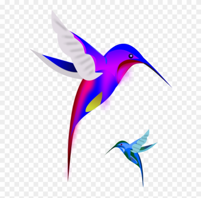 400x394 Colibri Png