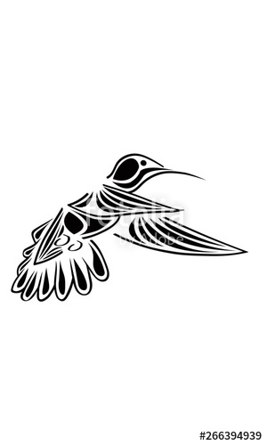 300x500 Colibri Vector Stock Image And Royalty Free Vector