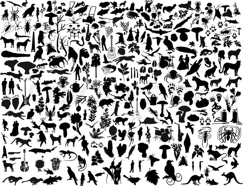 800x613 Biggest Collection Of Collage Vector Stock Vector Colourbox