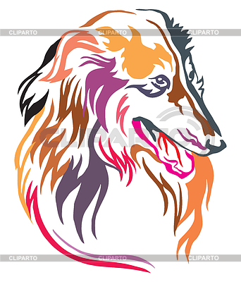 Collie Stock Photos And Vektor Clipart Cliparto 342x400 Collie Stock Photos And Vektor Clipart Cliparto