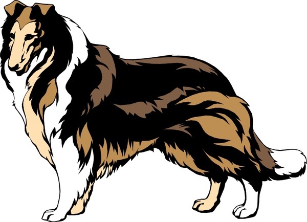 Collie Free Vector In Open Office Drawing 600x434 Collie Free Vector In Open Office Drawing