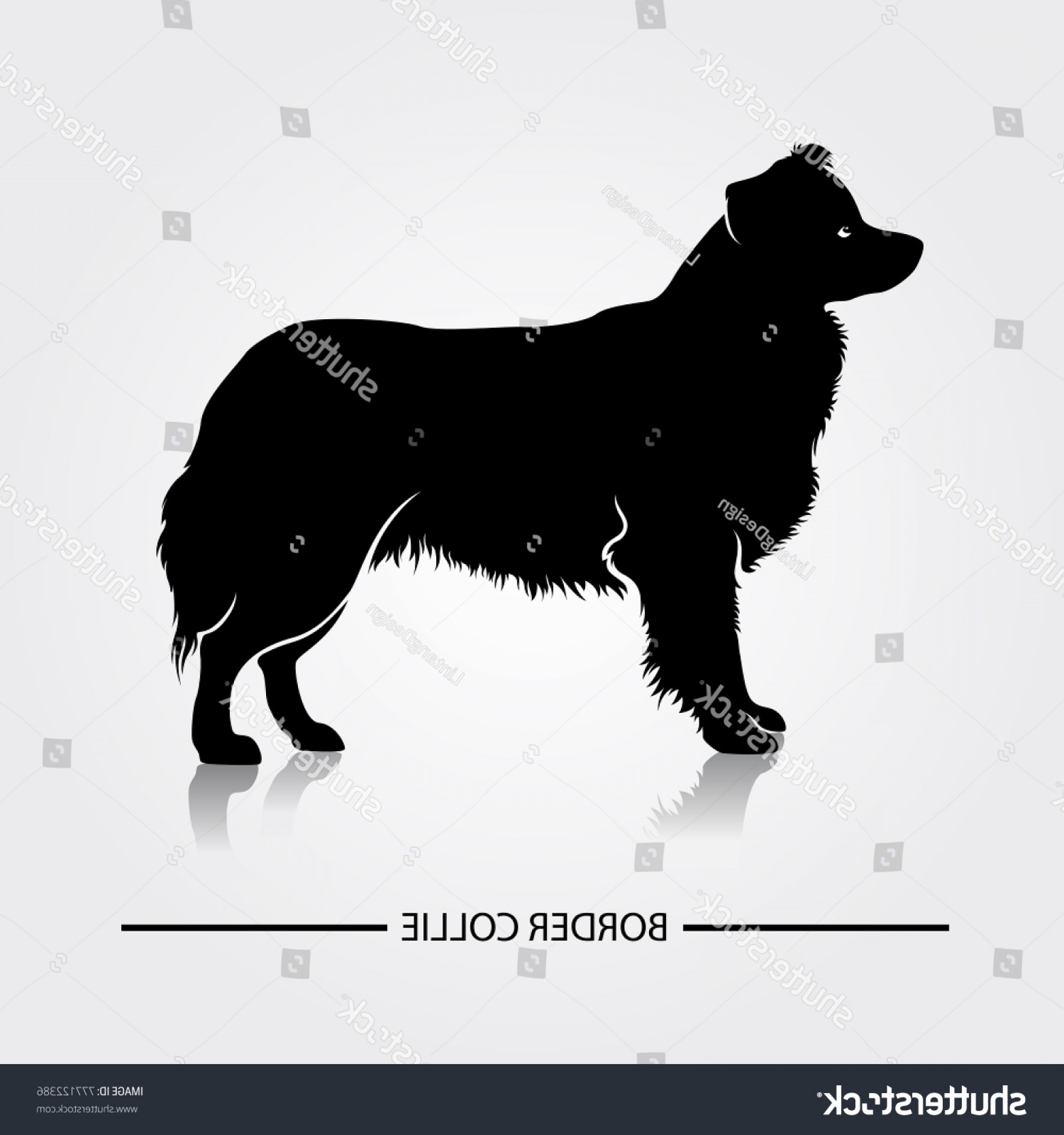 Border Collie Dog Silhouette Vector Illustration Soidergi 1800x1920 Border Collie Dog Silhouette Vector Illustration Soidergi