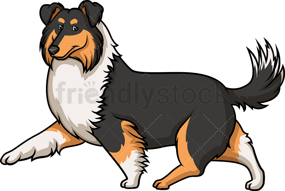 Dark Mahogany Sable Collie Walking Cartoon Clipart Vector 1000x673 Dark Mahogany Sable Collie Walking Cartoon Clipart Vector