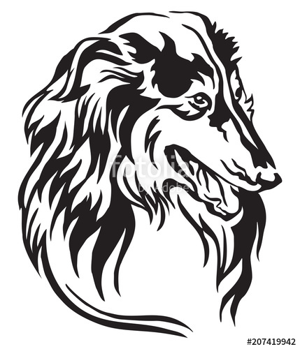 Decorative Portrait Of Collie Vector Illustration Stock Image 429x500 Decorative Portrait Of Collie Vector Illustration Stock Image