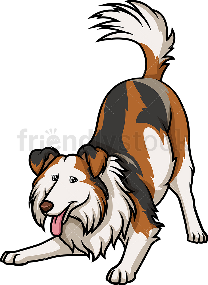 Playful Tri Sable Merle Collie Cartoon Clipart Vector 732x1000 Playful Tri Sable Merle Collie Cartoon Clipart Vector