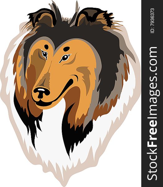 Rough Collie Vector 525x600 Rough Collie Vector