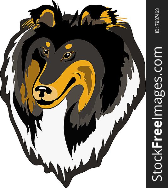 Rough Collie Vector 534x600 Rough Collie Vector
