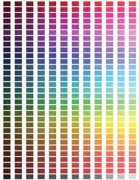 Color Swatches Vector At Vectorified.com 