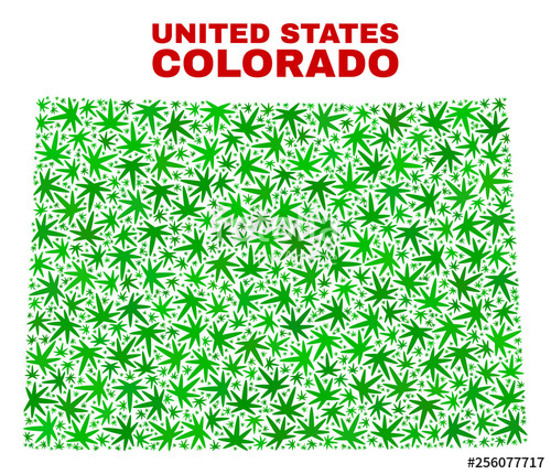500x430 Vector Marijuana Colorado State Map Mosaic Template With Green