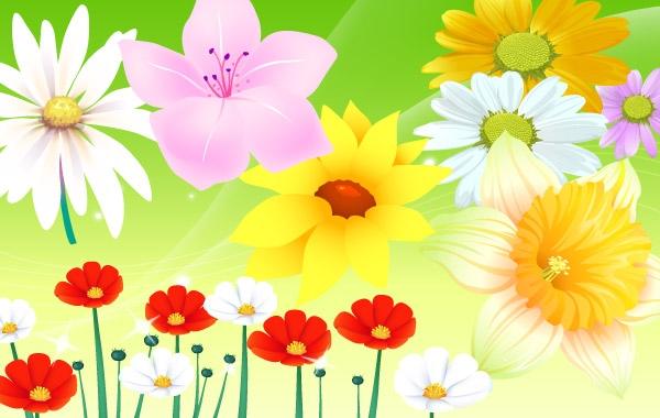 Colorful Flower Vector 600x380 Colorful Flower Vector