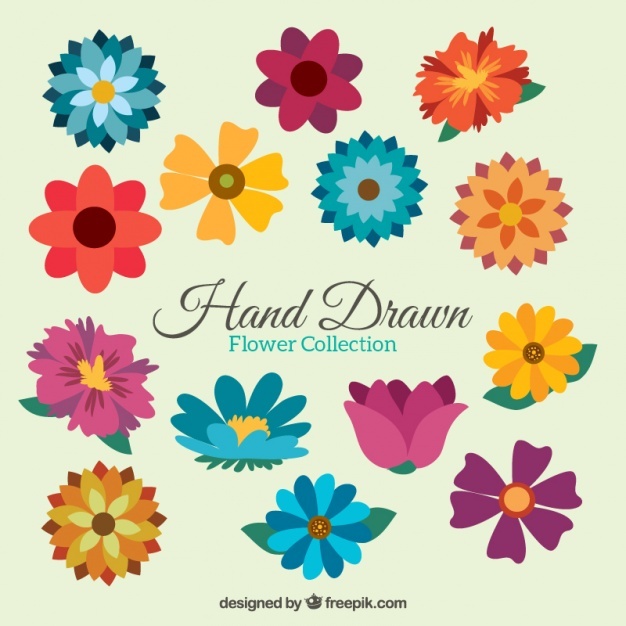 Colorful Flowers Vectors, Photos And Free Download 626x626 Colorful Flowers Vectors, Photos And Free Download