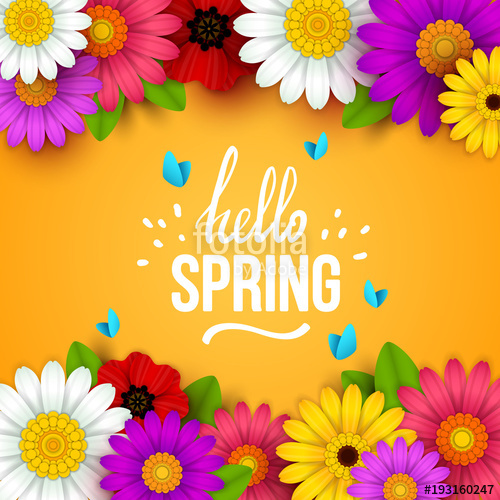 Colorful Spring Background With Beautiful Flowers Vector 500x500 Colorful Spring Background With Beautiful Flowers Vector