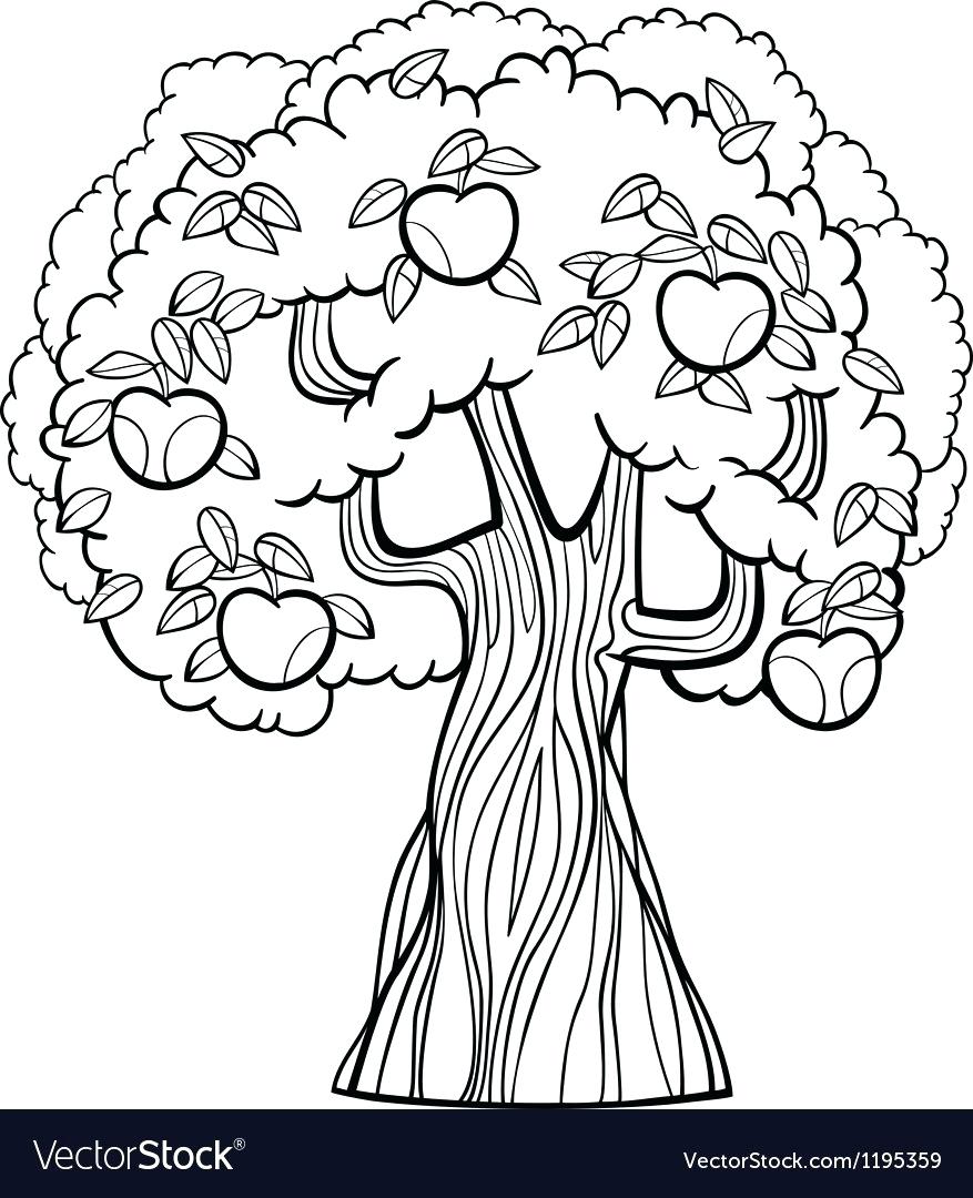 Coloring Apple Tree 877x1080 Coloring Apple Tree
