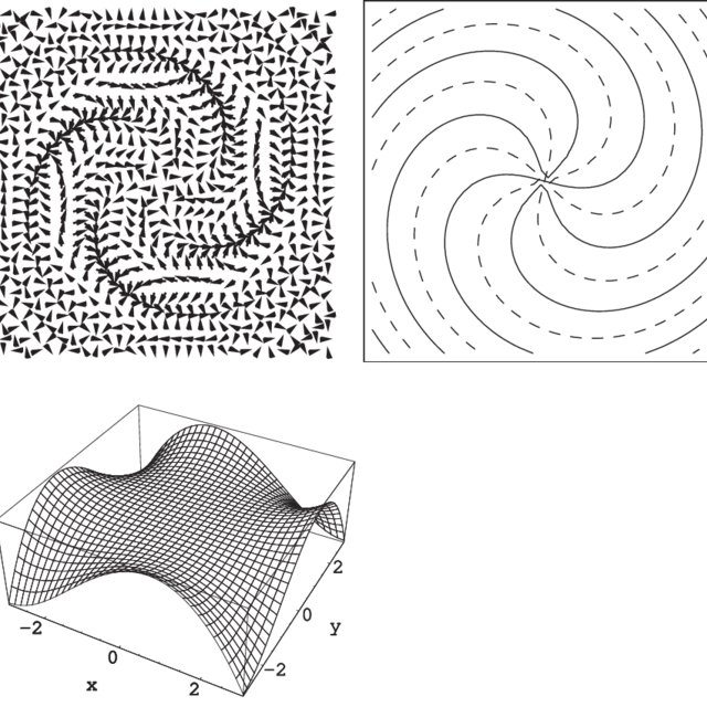 640x640 Complex Vector Field