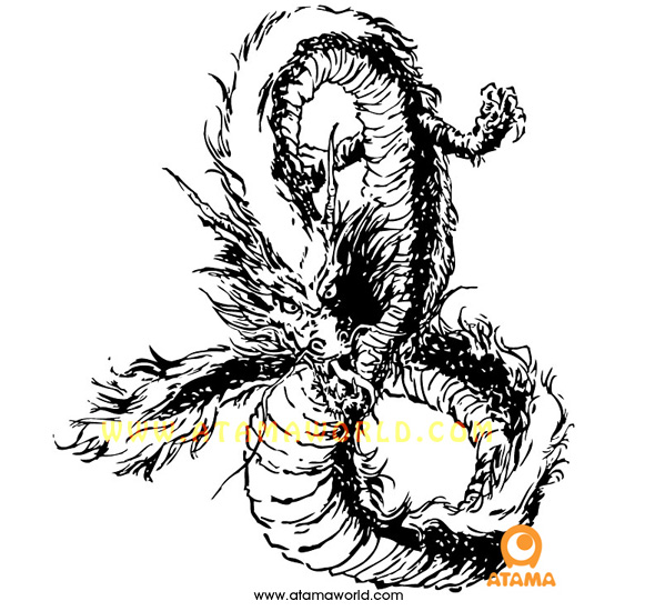 590x550 Complex Vector Dragon Black And White Atama World