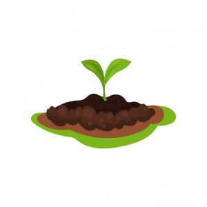 300x300 Pile Of Ground Or Compost Gm Cqrecords