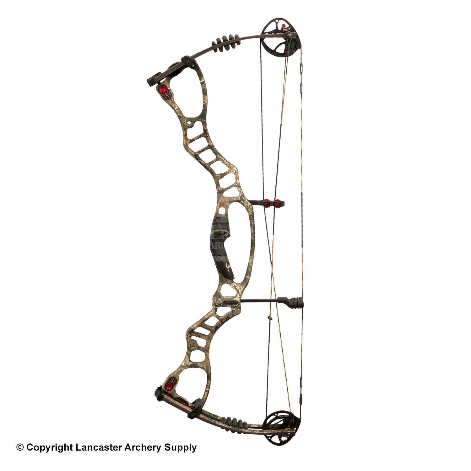 Hoyt Vector Compound Bow 1500x1500 Hoyt Vector Compound Bow