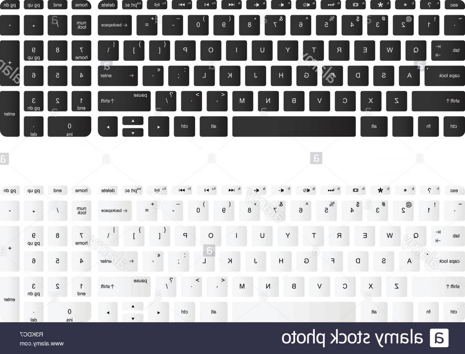 1560x1190 Keyboard Vector Art Hoodamathrun