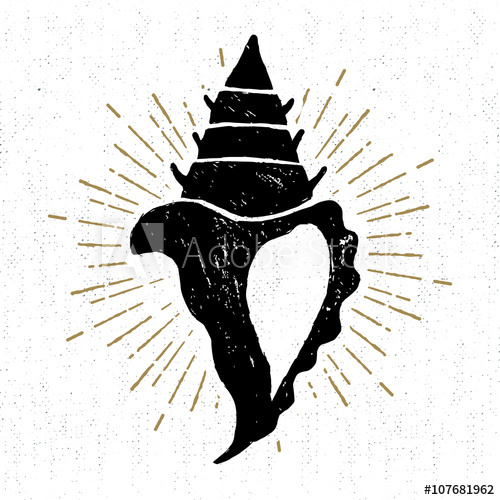500x500 Hand Drawn Vintage Icon With A Textured Conch Seashell Vector