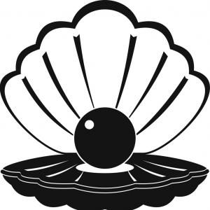 300x300 Outline Scallop Sea Shell Clam Conch Seashell Flat Vector Icon