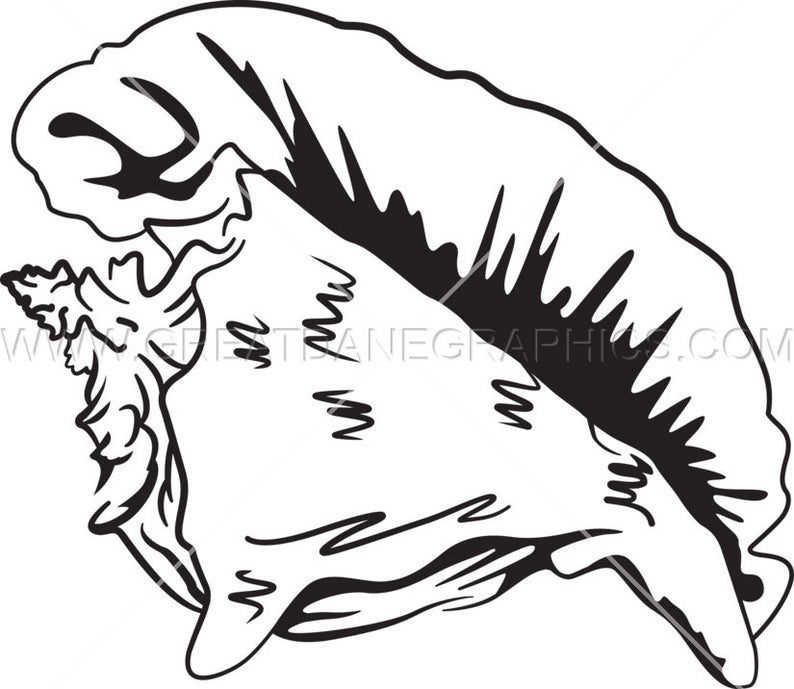 794x689 Seashell Seashell Vector Conch Shell Vector Etsy