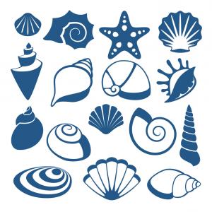 Conch Shell Vector at Vectorified.com | Collection of Conch Shell ...