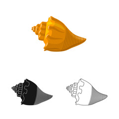 240x240 Conch Vector Photos, Royalty Free Images, Graphics, Vectors