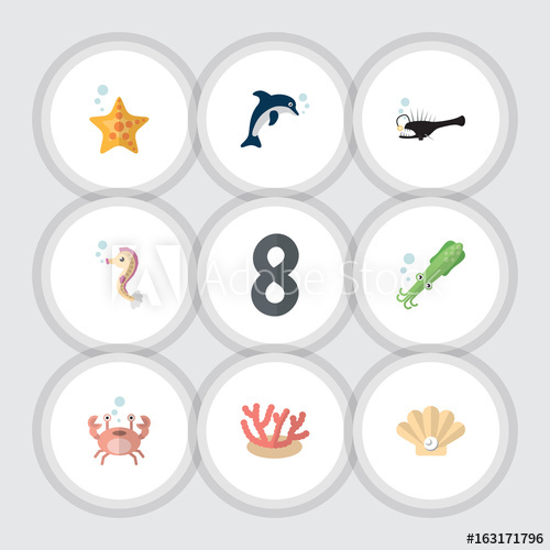 500x500 Flat Icon Nature Set Of Octopus, Conch, Sea Star And Other Vector